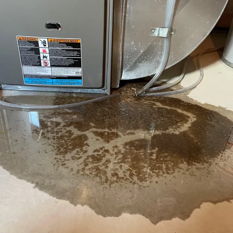 Appliance Leak Cleanup in Graceville, FL