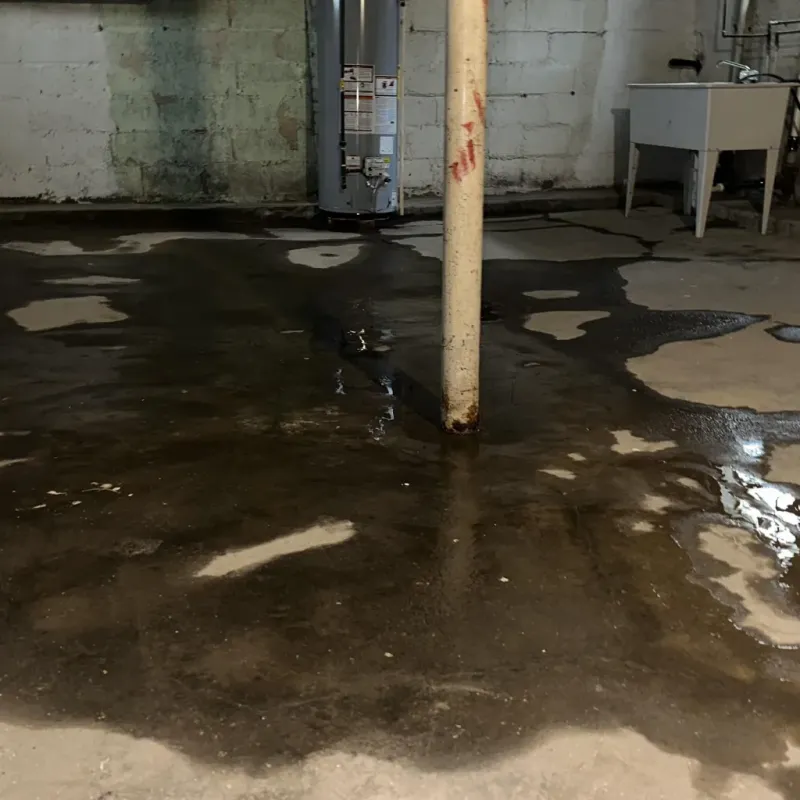 Emergency Water Extraction And Removal in Graceville, FL